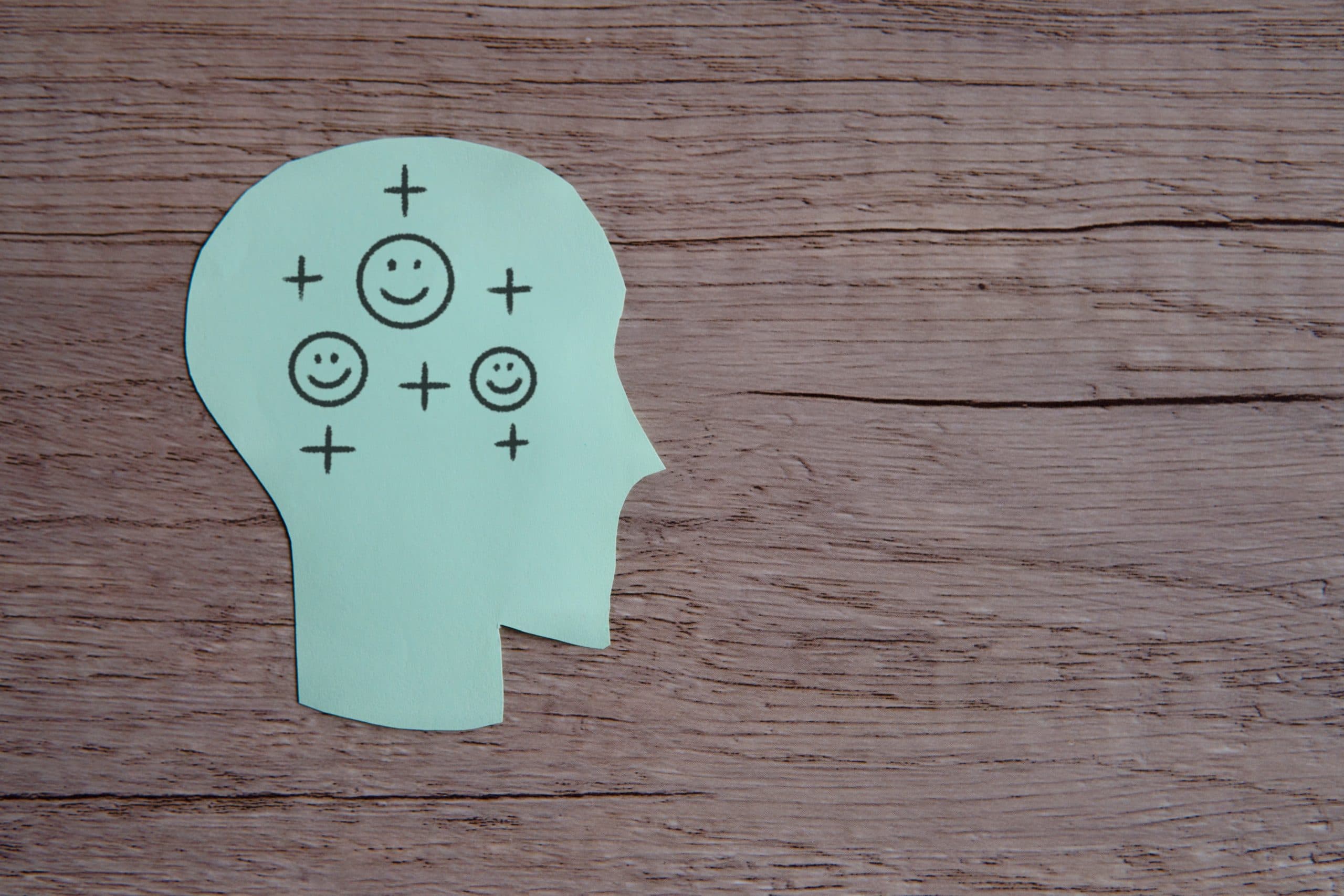 3 Pillars Of Positive Psychology & The FLOW Coaching Approach