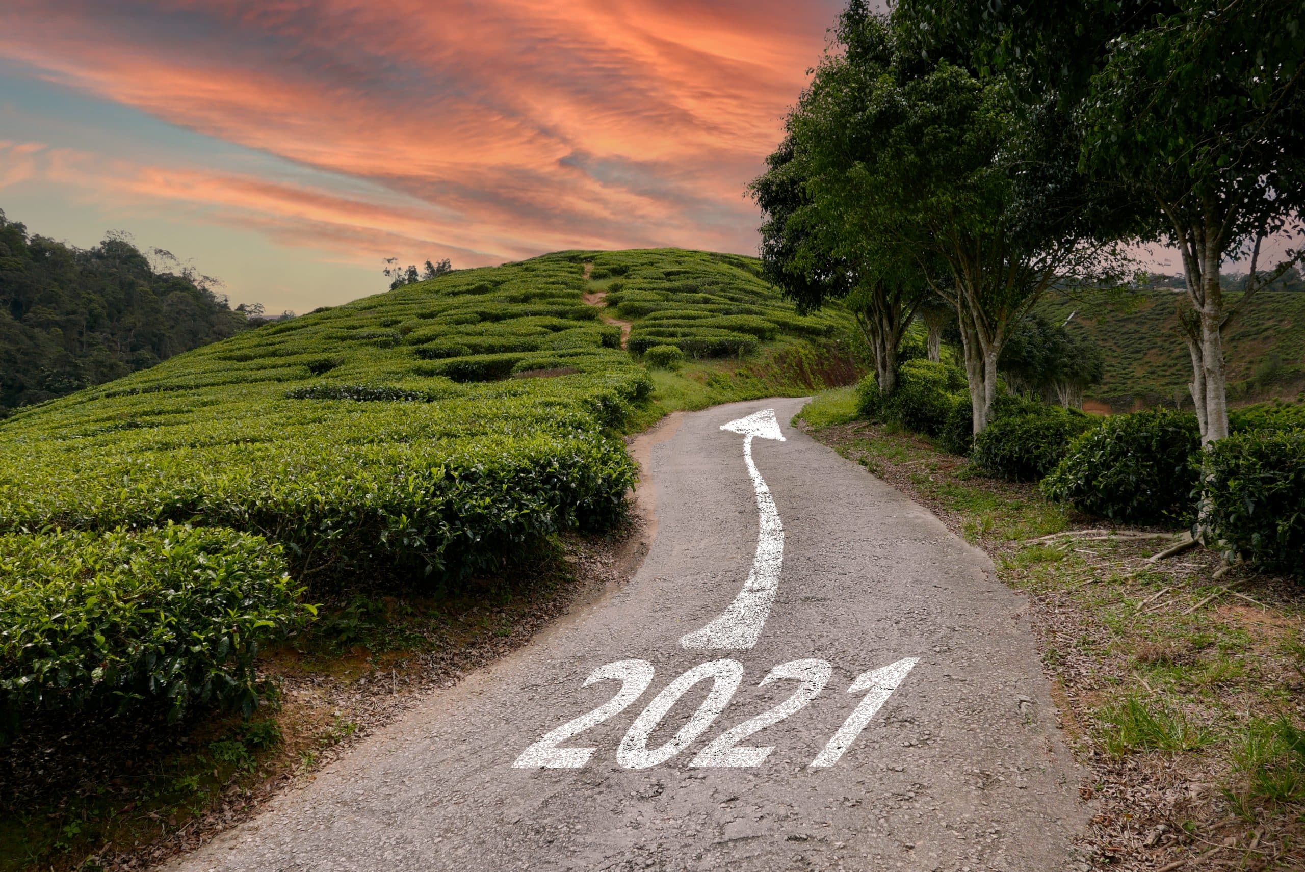 Is 2021 The Year You Should Become A Coach?
